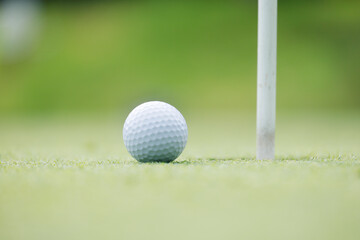 綺麗に手入れされたゴルフ場のグリーンと真っ白なゴルフボール