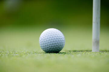 綺麗に手入れされたゴルフ場のグリーンと真っ白なゴルフボール