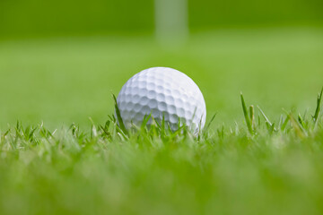 新緑が綺麗なゴルフ場と真っ白なボール