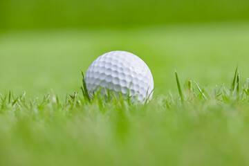 新緑が綺麗なゴルフ場と真っ白なボール