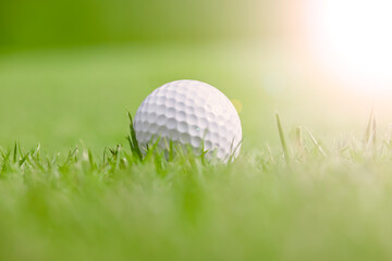 新緑が綺麗なゴルフ場と真っ白なボール