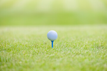 新緑が綺麗なゴルフ場のティーグラウンド