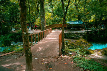 Puente de madera
