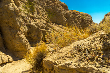 Anza Borrego dessert State Park Canyon, California