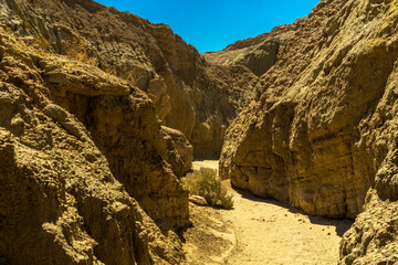Anza Borrego dessert State Park Canyon, California