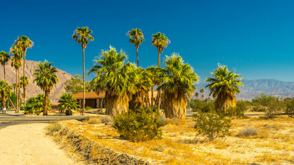 Scenery in Anza Borrego Desert State Park Area, California