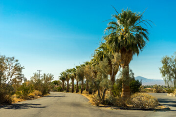 Scenery in Anza Borrego Desert State Park Area, California