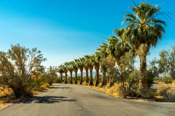 Scenery in Anza Borrego Desert State Park Area, California