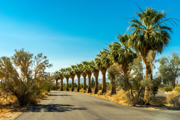 Scenery in Anza Borrego Desert State Park Area, California