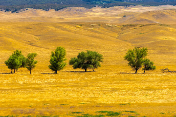 Scenery in Anza Borrego Desert State Park Area, California