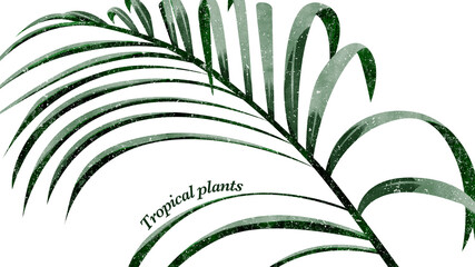 南国熱帯植物の手描きイラスト背景
