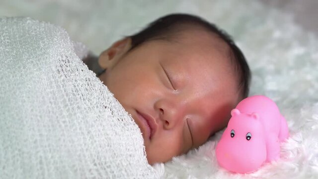 Newborn baby sleep beside the hippopotamus rubber toy. Family, love concept