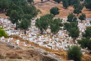 View of the old cemetery in Fes near Marinid Tombs hill. Morocco.