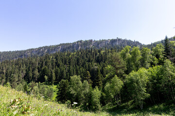 Fototapeta na wymiar Panoramic views from mountain routes on a sunny summer day, walking and communicating with nature.