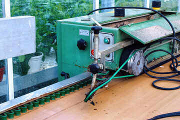 Part of the automatic equipment in the nursery of ornamental plants.