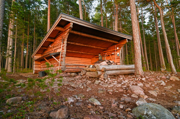 Obraz premium wooden windbreak with fireplace in sunsetlight in forest