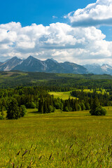 Summer View on Tatra Mountains and Meadows