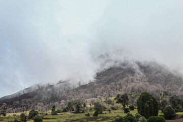 Close-up of the forest burned by gases and sulfur around the Volcanic cone in the danger zone in the middle of a green and cloudy landscape in Turrialba Volcano National Park in Cartago Costa Rica