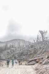 group of young hikers walking through the burned forest around the volcanic cone in the danger zone amid a green and cloudy landscape in Turrialba Volcano National Park in Cartago Costa Rica