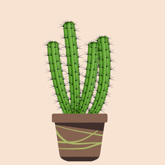 Cactus in terracotta pots . Boho art style . Vector illustration
