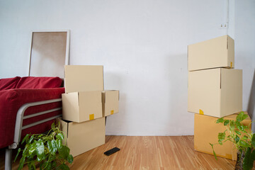 Cardboard boxes, potted plants and household stuff indoors.