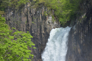 新緑の中の苗名滝