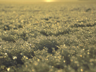Spring in my soul