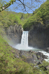 新緑の中の苗名滝