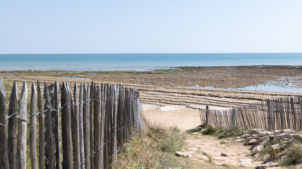 Fototapeta na wymiar landscape pathway access Atlantic beach in sand dunes fence in Cap-Ferret ocean france