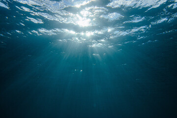 Fototapeta premium Ray of Light