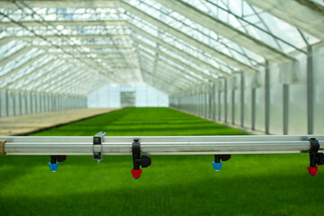 A greenhouse for growing plants and trees. Irrigation technology in the greenhouse.