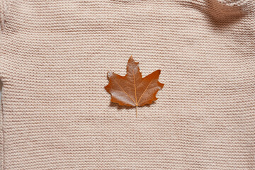 Orange autumn fall leaf on the knitted sweater surface