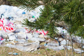 Garbage dump in the woods, forest. Ecological problems
