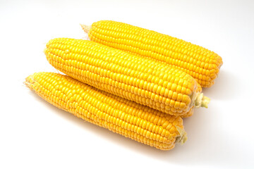 corn isolated on a white background