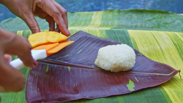 .Mango sticky rice served on a spotted banana leaf by the pool..speckled banana leaves in the background..beautiful green and yellow color of nature background. food and restaurant concept..