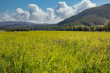 Travel stop at Åbygda rural community in Bindal municipality on a great summer day,Helgeland,Nordland county,scandinavia,Europe