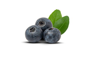Fresh blueberry fruit isolated on white background. Three blueberry for decoration.