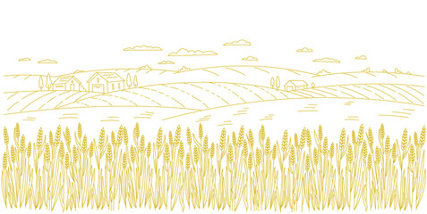 Wheat field. Rural landscape panorama. Agriculture cereal harvest. Dry grass meadow. Contour vector line. Bread wrapper. Open paths. Editable stroke. Hand drawn sketch. © Ilia