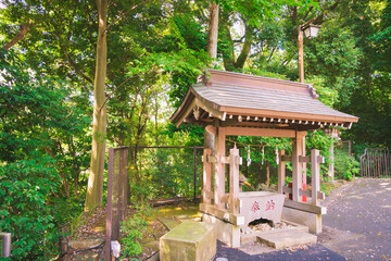 Naklejka premium 茅ヶ崎杉山神社