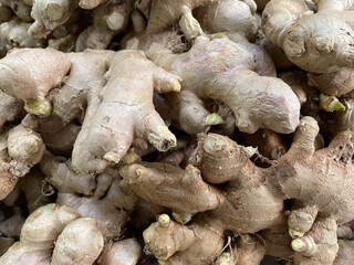 Ginger fresh organic to be used as raw materials for cooking.