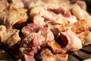 grilled meat on the grill