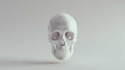 Obraz premium White Skull Female Head Jaw Skeleton Halloween Bone Death Dead Anatomy Horror Medicine 3d illustration render