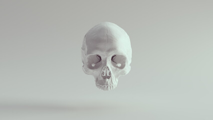 White Skull  Female Head Skeleton Halloween Bone Death Dead Anatomy Horror Medicine 3d illustration render