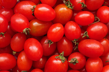 Red ripe organic tomato background