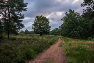 Obraz premium path in the countryside