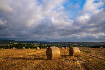 hay bales in the field