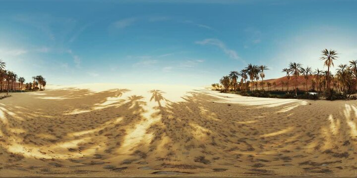VR360 view of palm oasis in desert