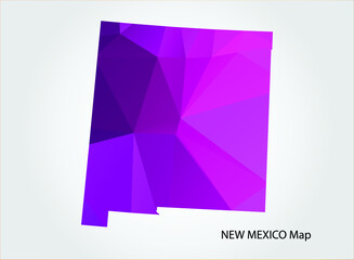 NEW MEXICO Map pink Color on white background polygonal