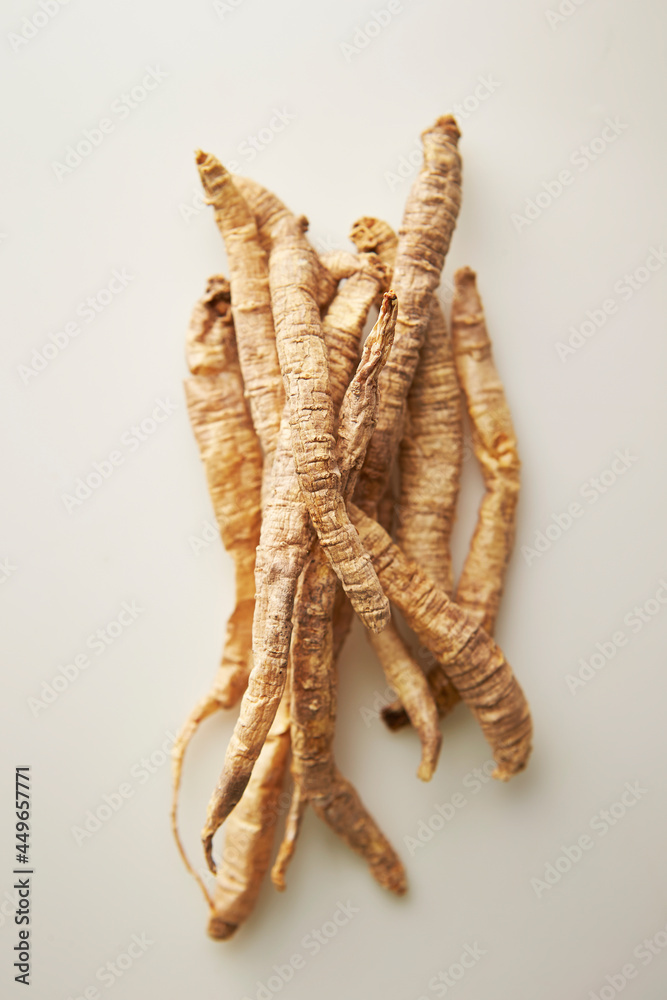 Poster dried medicinal herbs on a white background