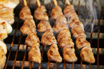 grilled chicken on the grill